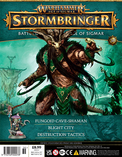 Warhammer Age of Sigmar: Stormbringer - Issue 36